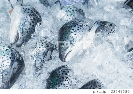 Salmon fish on ice in the seafood market 22545586