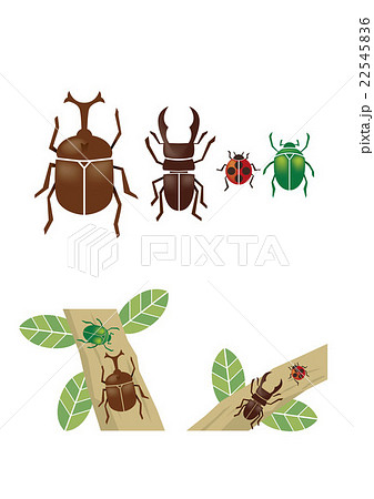 Insectsのイラスト素材