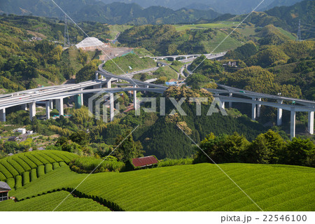 茶畑越しに新東名新清水ジャンクション 茶畑越しに新東名新清水ジャンクション 22546100