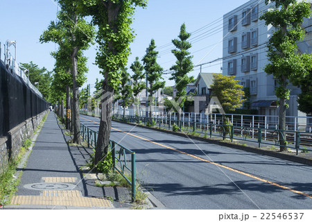 柴又街道 22546537