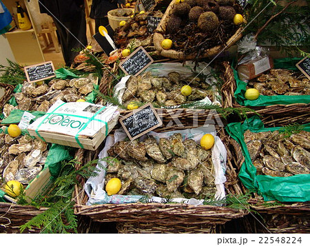 ヨーロッパにて 22548224