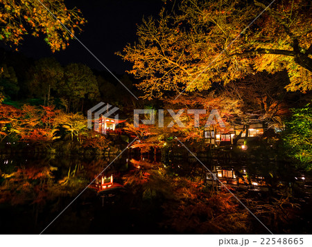 醍醐寺の弁天堂ライトアップ 醍醐寺の弁天堂ライトアップ 22548665