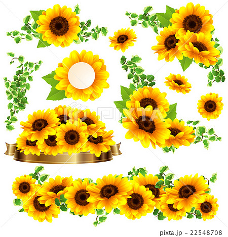 向日葵の夏らしい綺麗なフレームのイラスト素材 22548708 Pixta