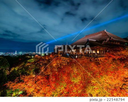 紅葉と清水の舞台ライトアップ 22548794