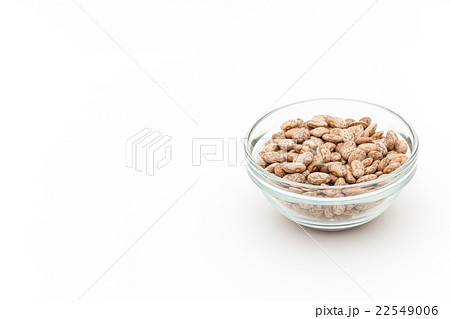 ウズラマメ: Pinto beans ウズラマメ: Pinto beans 22549006