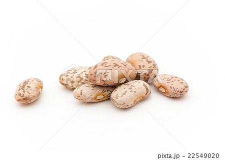 ウズラマメ: Pinto beans ウズラマメ: Pinto beans 22549020