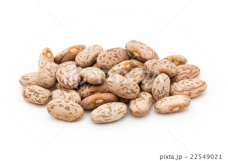 ピントビーンズ: Pinto beans ピントビーンズ: Pinto beans 22549021