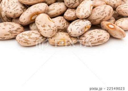 ウズラマメ: Pinto beans ウズラマメ: Pinto beans 22549023
