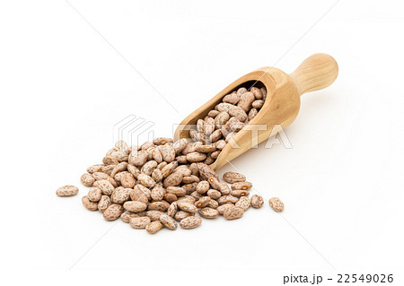 ウズラマメ: Pinto beans ウズラマメ: Pinto beans 22549026