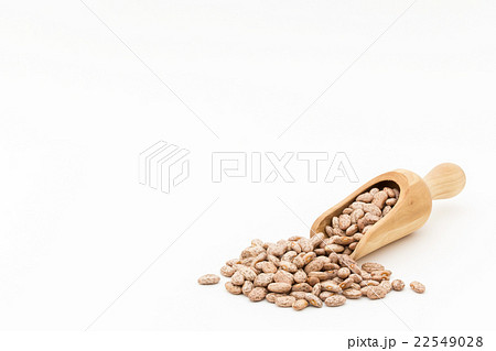 うずら豆: Pinto beans 22549028