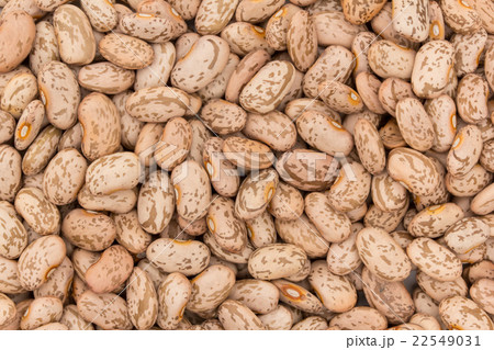 うずら豆: Pinto beans 22549031