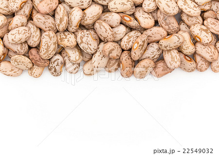 ウズラマメ: Pinto beans 22549032