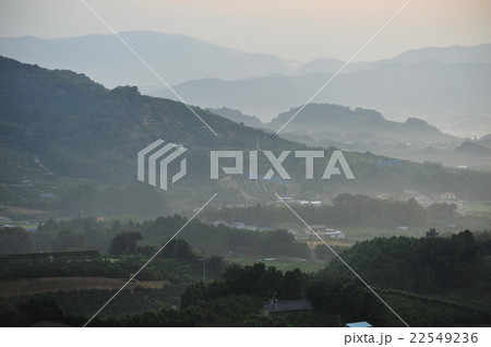 朝霞のみかん園地 朝霞のみかん園地 22549236