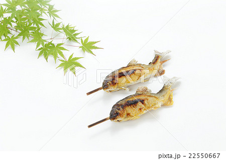 アユの塩焼き　初夏イメージ 22550667