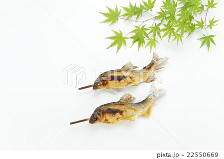 アユの塩焼き　初夏イメージ 22550669