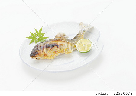 アユの塩焼き　皿盛り 22550678