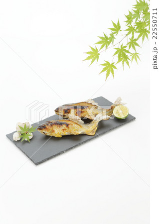 アユの塩焼き 料亭イメージ アユの塩焼き 料亭イメージ 22550711