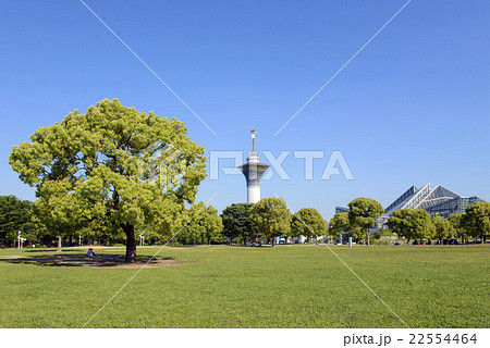 新緑の花博記念公園 新緑の花博記念公園 22554464