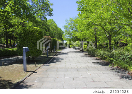 都市公園 22554528