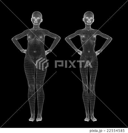 女性の体　ワイヤーフレーム　ダイエット　perming3DCG　イラスト素材　素材 22554585