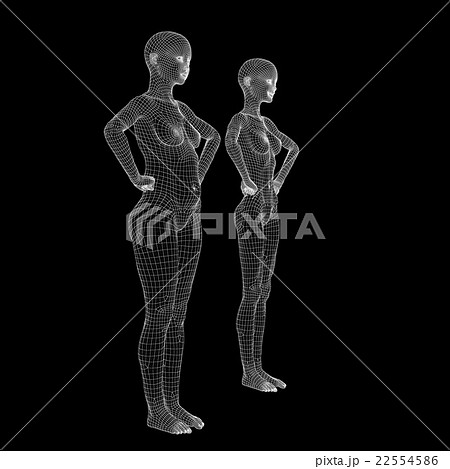 女性の体　ワイヤーフレーム　ダイエット　perming3DCG　イラスト素材　素材 22554586