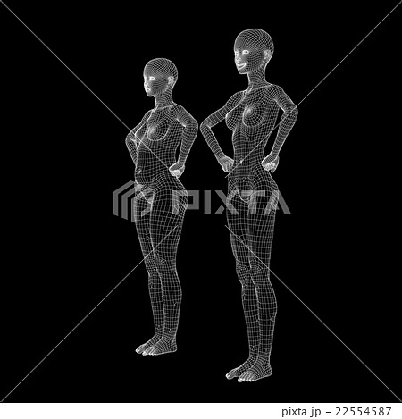 女性の体　ワイヤーフレーム　ダイエット　perming3DCG　イラスト素材　素材 22554587