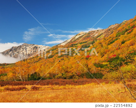 紅葉の栂池自然園 22554892