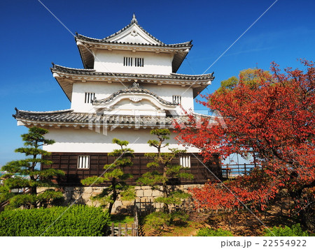 秋の丸亀城 22554922