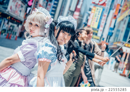 メイド　ポートレート 22555285