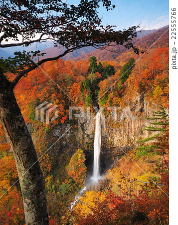 紅葉の白水の滝 22555766