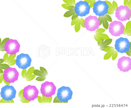 朝顔のイラスト素材
