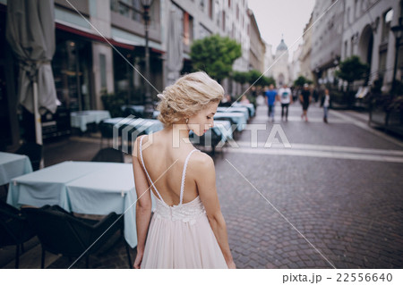 wedding day in Budapest wedding day in Budapest 22556640