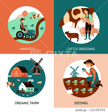 Organic Farm 4 Flat Icons Banner  Organic Farm 4 Flat Icons Banner  22556705