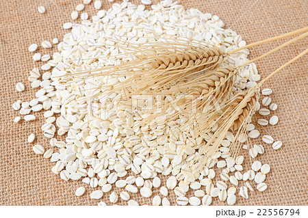 大麦3本　右上　押麦 22556794