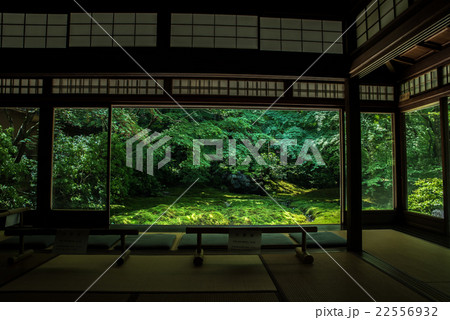 瑠璃光院の新緑　書院一階から眺める瑠璃の庭 22556932