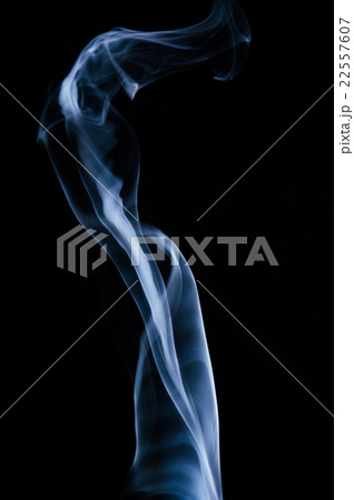 Lily Lily 22557607