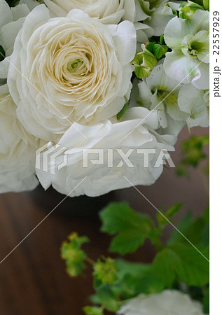 ラナンキュラスのアレンジメント 22557929