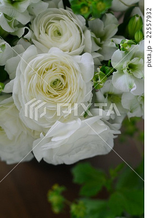 ラナンキュラスのアレンジメント 22557932