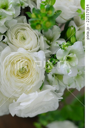 ラナンキュラスのアレンジメント 22557934