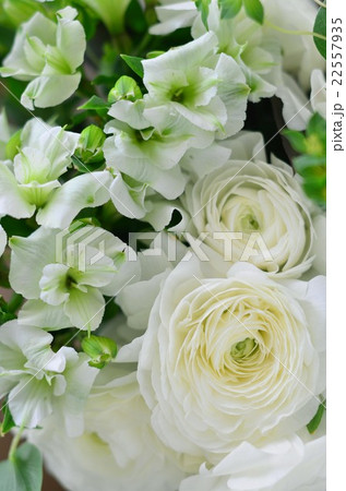 ラナンキュラスのアレンジメント 22557935