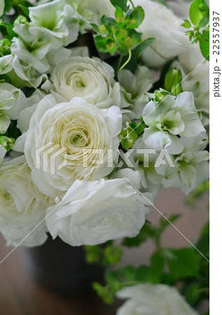 ラナンキュラスのアレンジメント 22557937