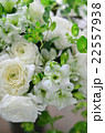 ラナンキュラスのアレンジメント 22557938