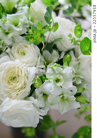 ラナンキュラスのアレンジメント 22557938