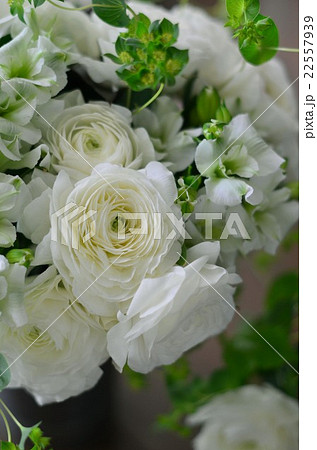 ラナンキュラスのアレンジメント 22557939