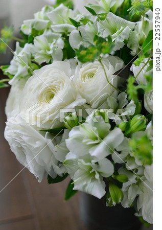 ラナンキュラスのアレンジメント 22557940