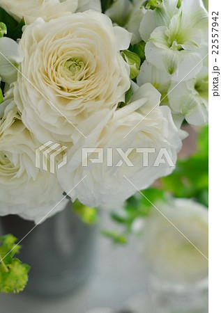 ラナンキュラスのアレンジメント 22557942