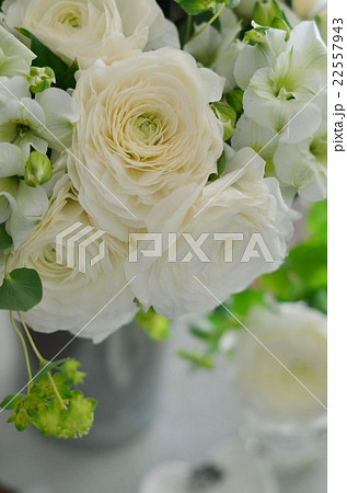 ラナンキュラスのアレンジメント 22557943