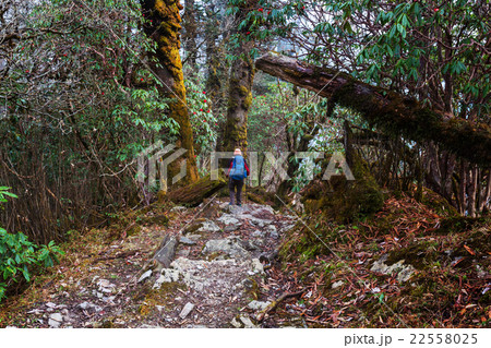 Hike in Nepal jungle 22558025