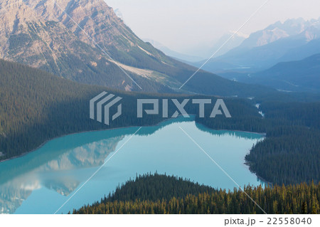 Peyto lake Peyto lake 22558040