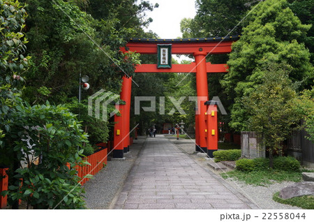 【世界遺産 紀伊山地の霊場と参詣道】熊野速玉大社の初夏の参道　和歌山県新宮市 22558044